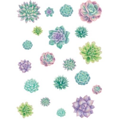 Décoration 6,5 à 15 cm : Rustic Blooms - Succulents\60